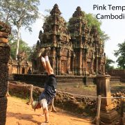 2014 CAMBODIA Pink Temple